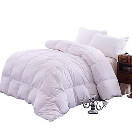 Topsleepy Luxurious Bedding Goose Down Filling Comforter, White (King Size)