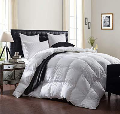 What Is The The Best Down Comforters On The Market