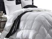 What Best Down Comforters Market