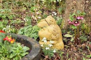 Snowdrop time in the garden