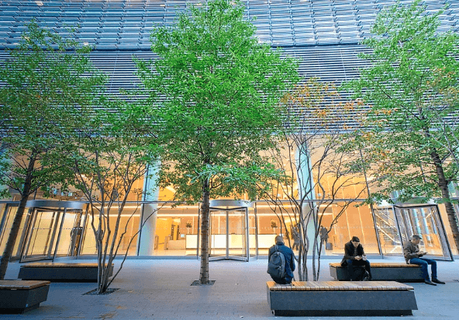 Creating a Greener Office Space In Your Business