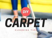 Simple Tips Clean Your Carpet Budget