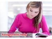 Assignment Help Awesome Increase Your Grades.