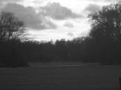 POEM: Swallowed Cloud