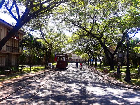 road covered with trees