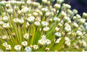 Best Redirect WordPress Plugins 2020