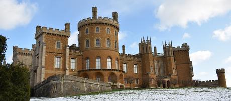 Snowdrops at Belvoir Castle