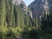 POEM: Village Darkness