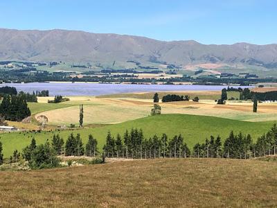 HIKING AND BIKING IN NEW ZEALAND, Part 1: Guest Post by Cathy Mayone