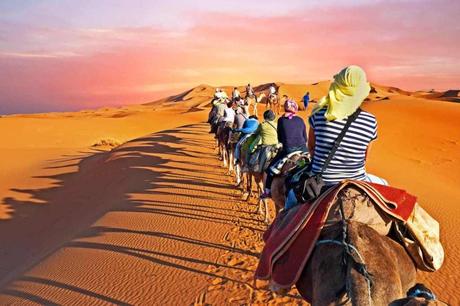 Book Tour Packages For Rajasthan