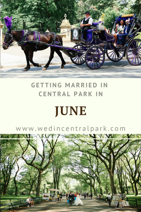 Getting Married in Central Park in June