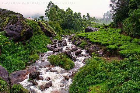 Best Tourist Places To Visit In Kerala In 2020