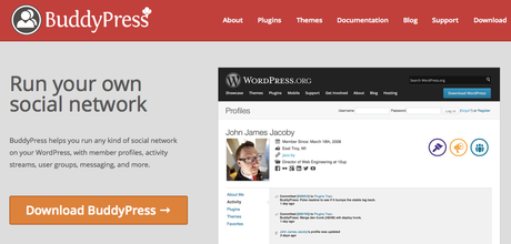 Benefits Of Building An Active Blogging Community Website BuddyPress Social networking plugin