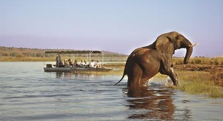 Africa Safaris: Top 5 things to do at the Okavango Delta