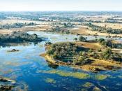 Africa Safaris: Things Okavango Delta