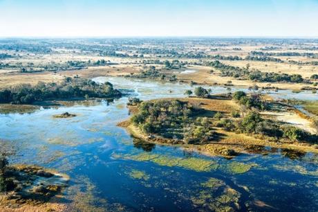 Africa Safaris: Top 5 Things to do at the Okavango Delta