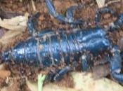 Fateful Crossing Haiku