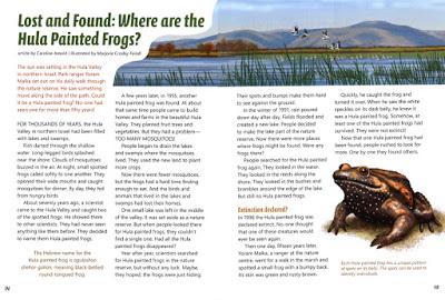 LOST AND FOUND: WHERE ARE THE HULA PAINTED FROGS? Article in Touchdown Magazine