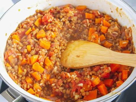 Indian Stew with Rice and Lentils