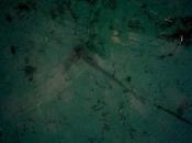 Drifting Away: Sailing Story