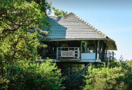 Top 10 Best Resorts Near Mumbai to Visit for A Weekend