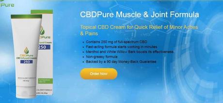 CBD Rub For Pain : The Best CBD Cream For Pain In 2020