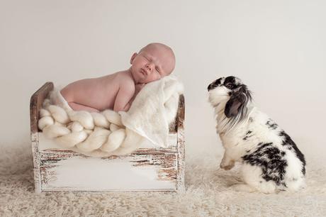 Newborn Baby and Dog Photography Guide