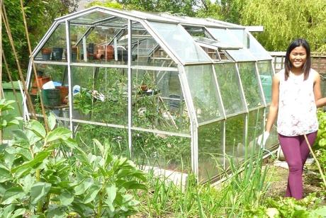 hartley botanic greenhouses www greenhousescouk glasshouse x in