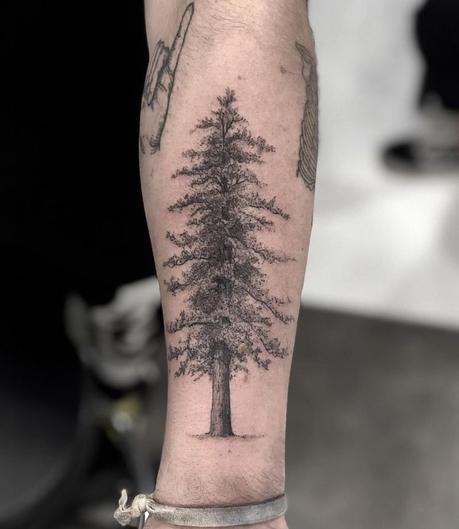 Funky Tree Tattoos