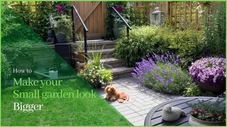 13 Simple Tricks to Make Your Small Garden Look Bigger