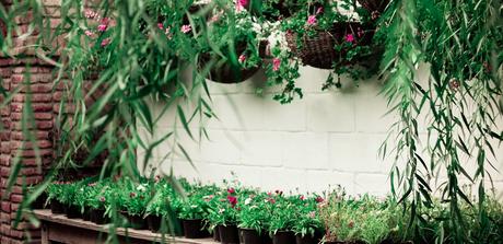 13 Simple Tricks to Make Your Small Garden Look Bigger