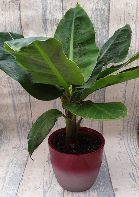 What Did We Do During Half Term