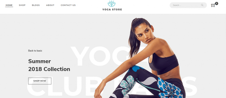 WordPress Fashion Themes WordPress Fashion Themes