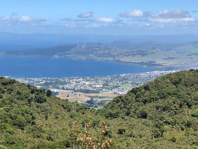 HIKING AND BIKING IN NEW ZEALAND, Part 2: Guest Post by Cathy Mayone