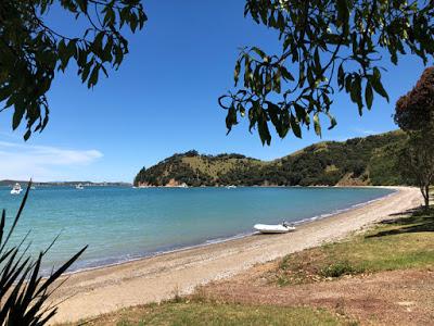 HIKING AND BIKING IN NEW ZEALAND, Part 2: Guest Post by Cathy Mayone