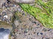 Dock Queens: Sailing Story