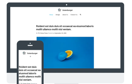 Zakra Gutenberg Zakra Gutenberg