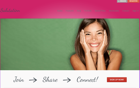 40 Best WordPress Forum Themes In 2020 40 Best WordPress Forum Themes In 2020