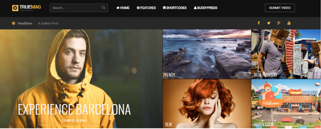 40 Best WordPress Forum Themes In 2020 40 Best WordPress Forum Themes In 2020