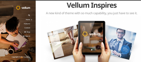 40 Best WordPress Forum Themes In 2020 WordPress Forum Themes