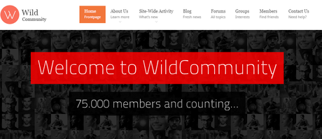 40 Best WordPress Forum Themes In 2020 40 Best WordPress Forum Themes In 2020