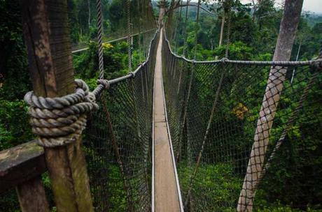 10 Most Dangerous Bridges In The World, Will Take Your Breath Away!