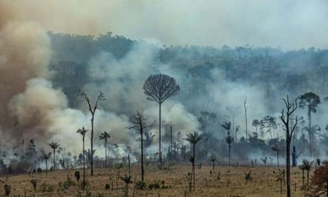 Amazon Supremo Pledges Third-Largest Charitable Fund To Combat Climate Crisis