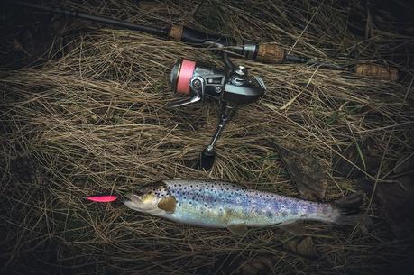 Best Spinning Rod for Trout