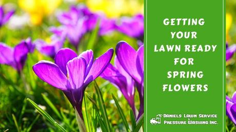Getting Your Lawn Ready for Spring Flowers