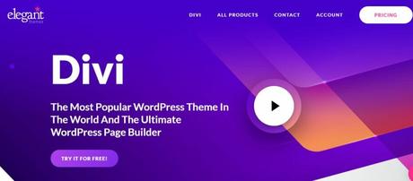Author WordPress Themes