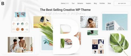 Author WordPress Themes