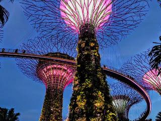 This Departure Lounge... South Korea, India, The DPRK & Singapore!