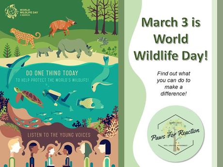World Wildlife Day March 3: How can you make a difference?