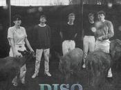 Disq ‘Collector’ Album Review